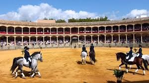 foto Caballería en la plaza de toros de Ronda (Málaga)