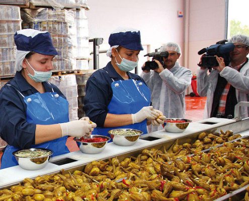 fotografía de personas trabajando en la berenjena de almagro