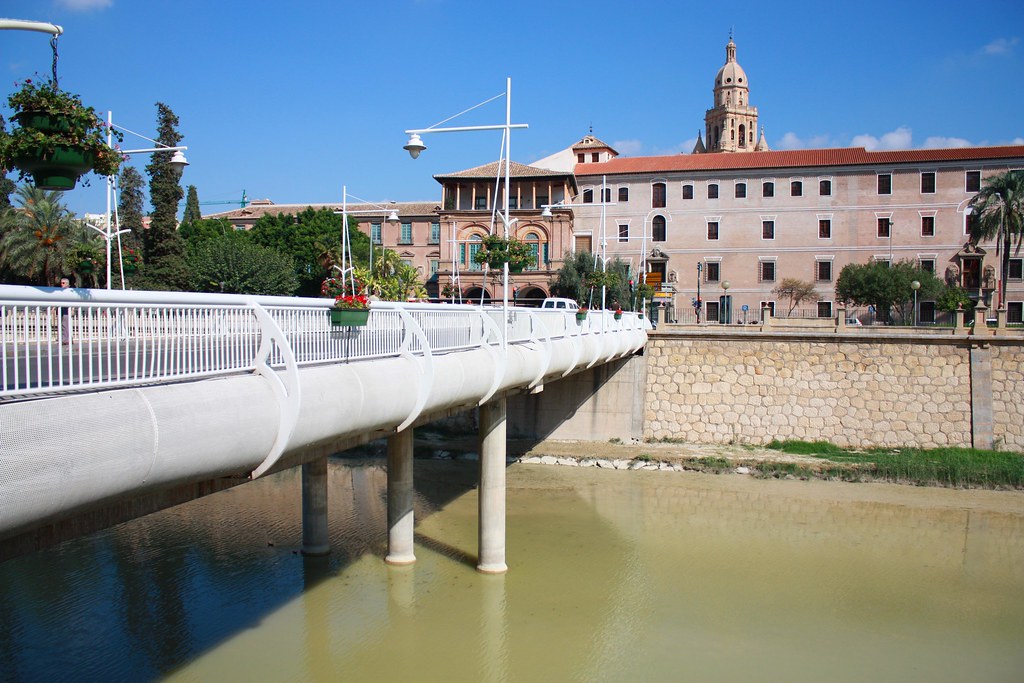 PUENTE DE MIGUEL CABALLERO