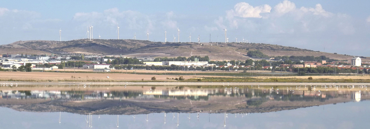 Laguna Larga de Villacañas