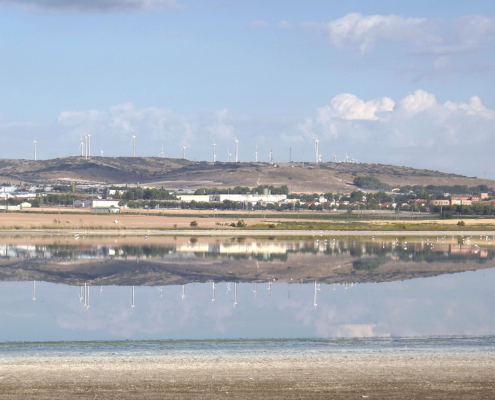 Laguna Larga de Villacañas