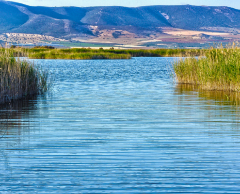 Las Tablas de Daimiel