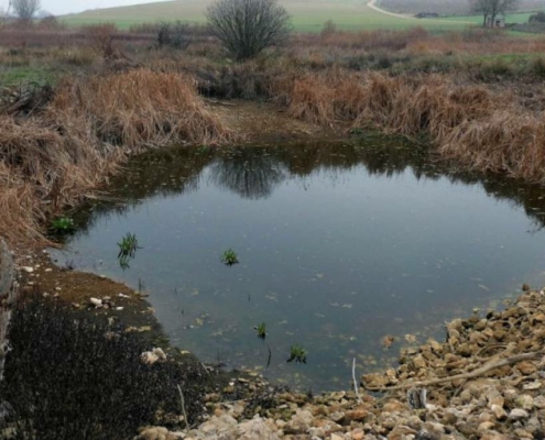 Ojos del Guadiana