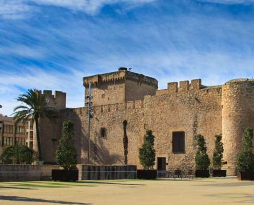 Castillo de Elche/Palacio de Altamira