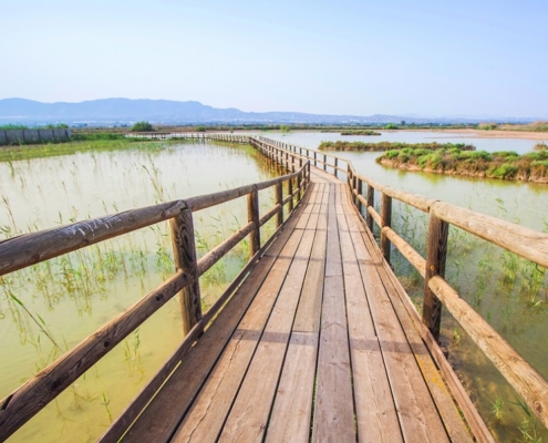 Parque Natural del Hondo