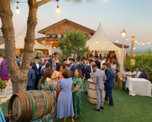 Jardín del vino durante un evento (El Mirador de la Mancha)