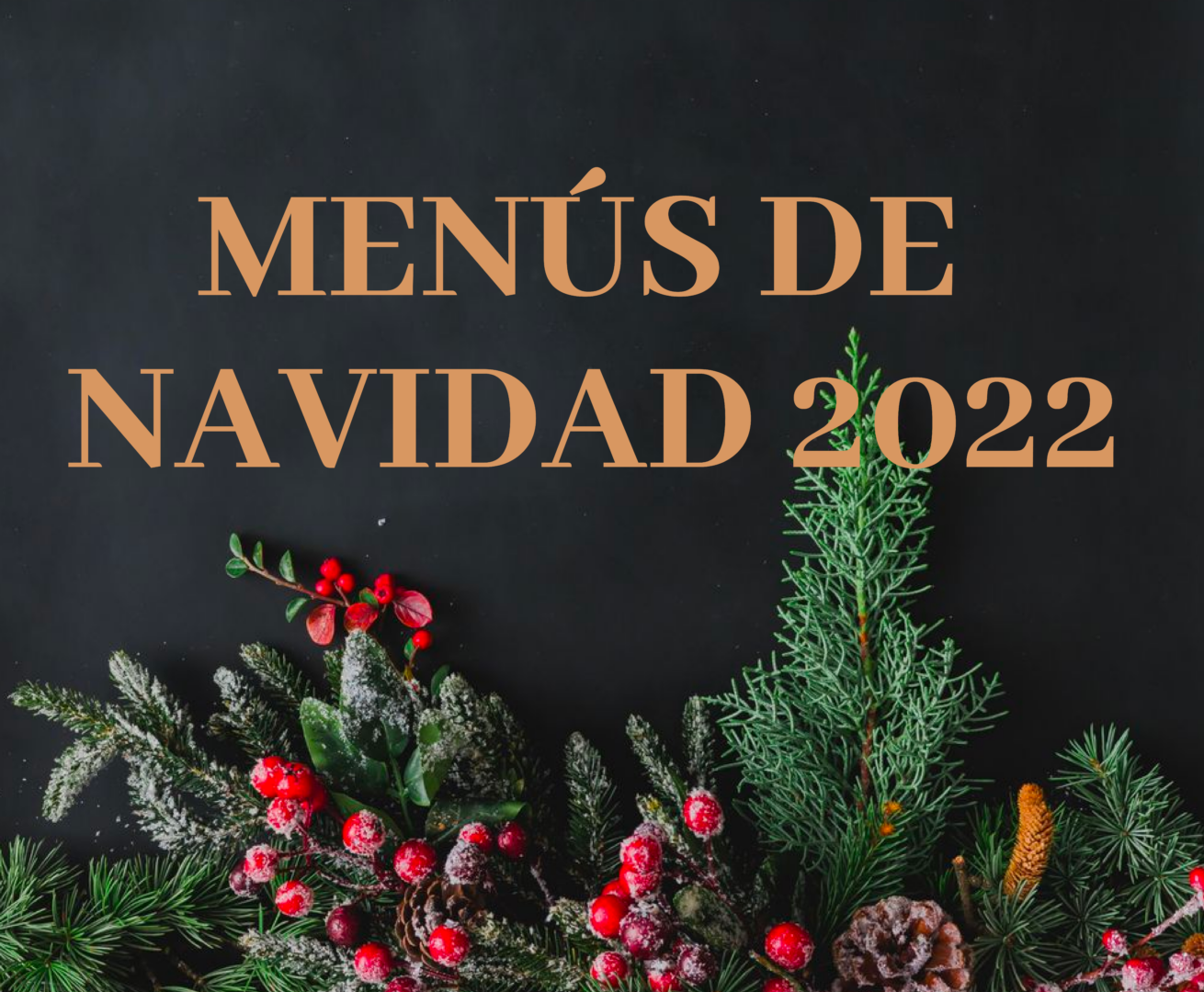 Menus de Navidad Antequera 2022