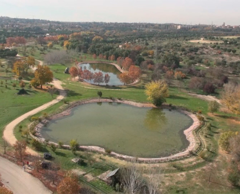 Parque Forestal Adolfo Suárez Pozuelo de Alarcón