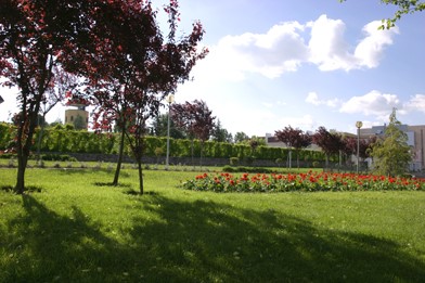 Parque del Torreón