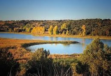 Laguna Conceja