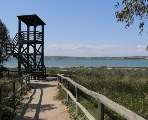 Laguna de La Mata en Torrevieja