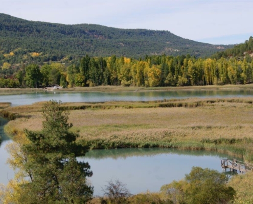 Laguna del Prado o Inesperada