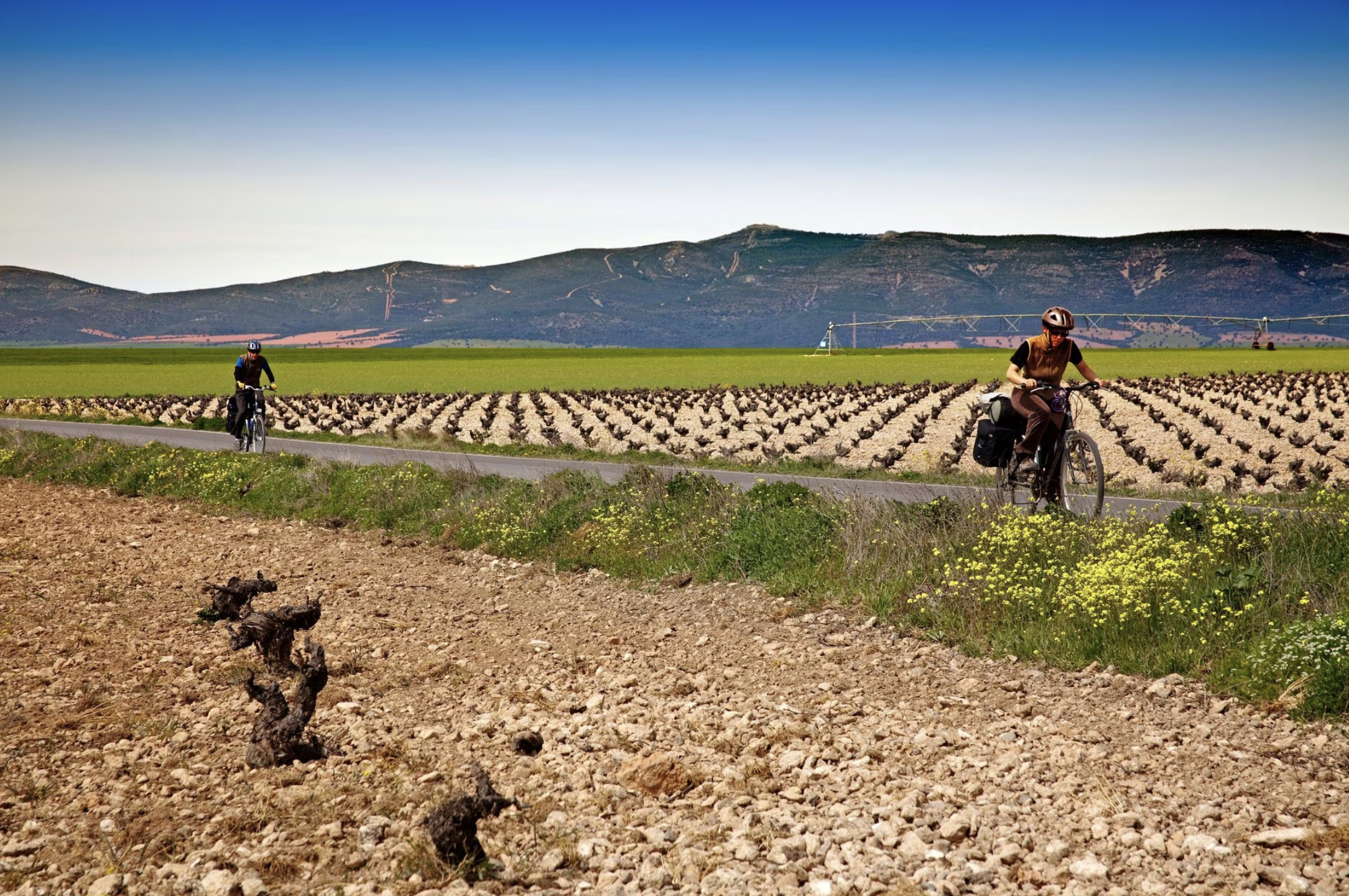 Dos ciclistas entre los viñedos de Valdepeñas, en la provincia de Ciudad Real.ALAMY STOCK PHOTO