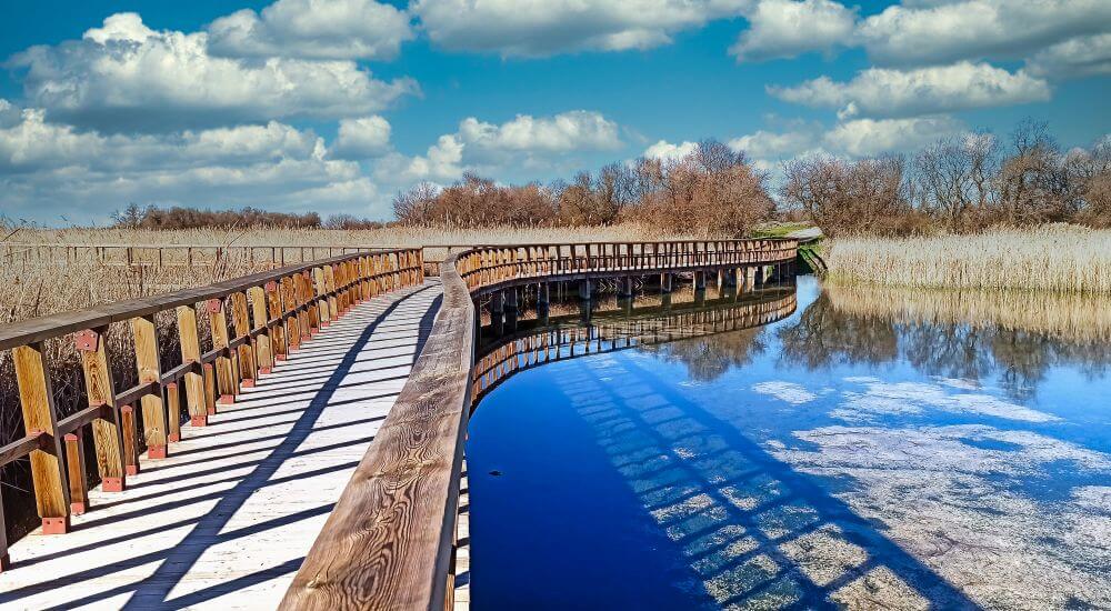 Parque Nacional las tablas de daimiel