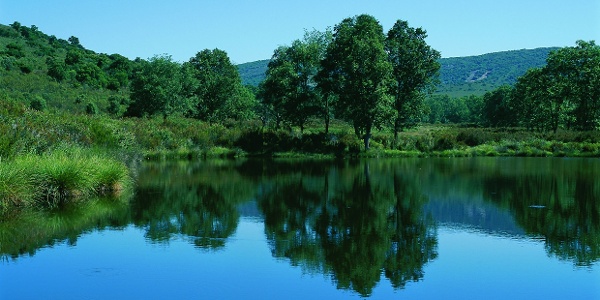 parque-nacional-de-cabaneros