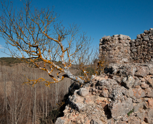 Lateral Castillo de Rochafrida