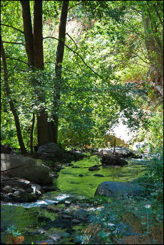 rio guadalfeo